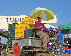 Tom DORSET STEAM RALLY, UK