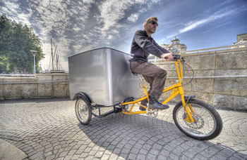 Cargo Trike