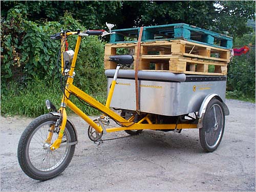 Cycles Maximus Trike